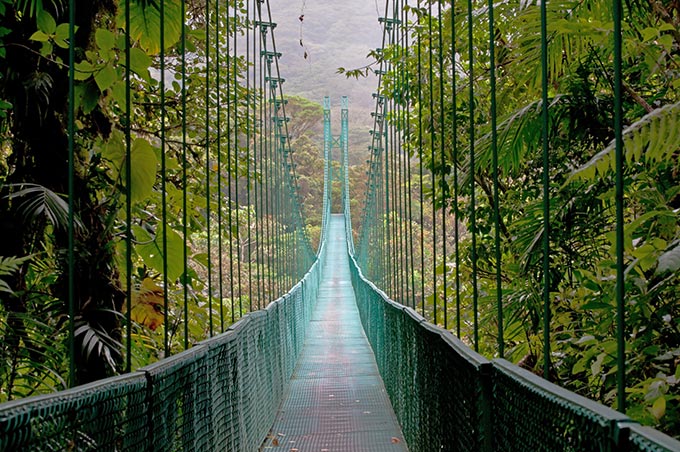 costa-rica-hanging-bridge-in-monteverde-cloud-forest-rainforest-shutterstock_95638117
